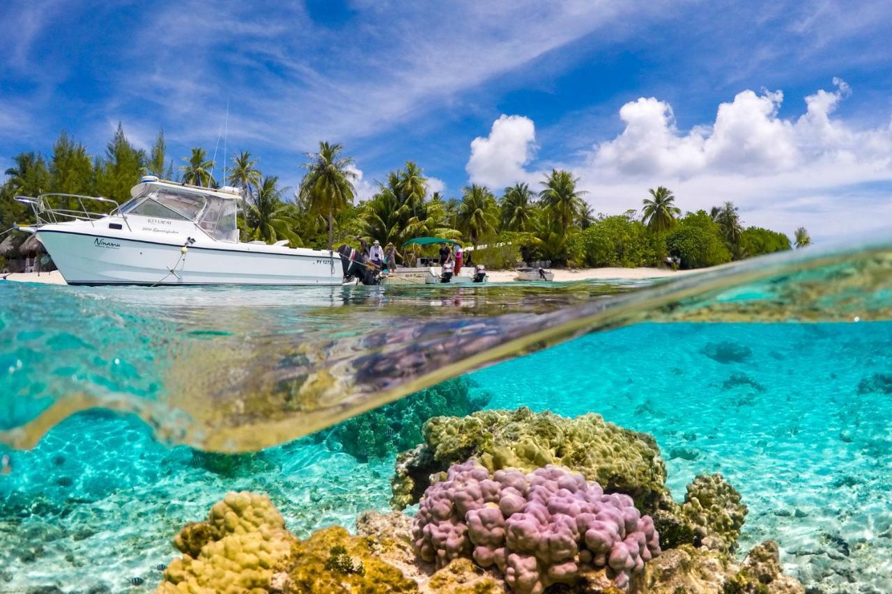 Ninamu Resort تيكاهاو المظهر الخارجي الصورة
